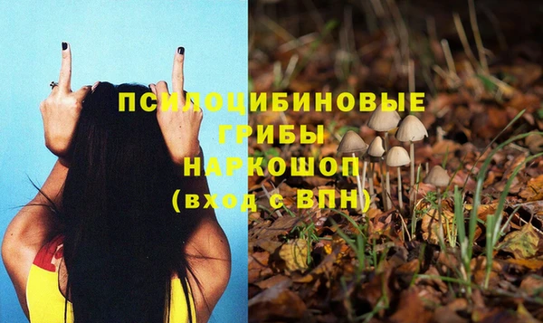a pvp Верея