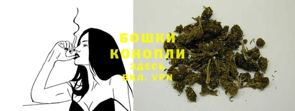 ПСИЛОЦИБИНОВЫЕ ГРИБЫ Верхний Тагил