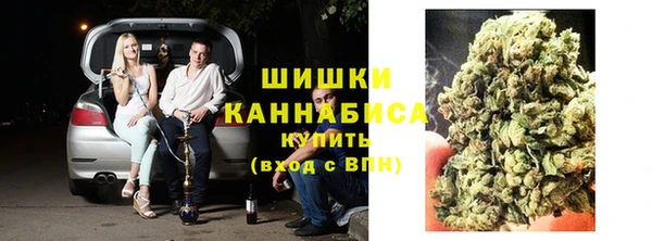 ПСИЛОЦИБИНОВЫЕ ГРИБЫ Верхний Тагил
