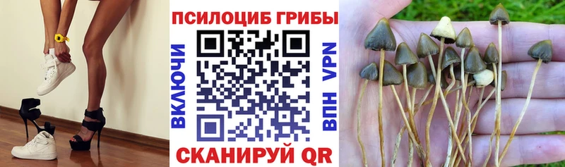 Галлюциногенные грибы ЛСД  Симферополь 